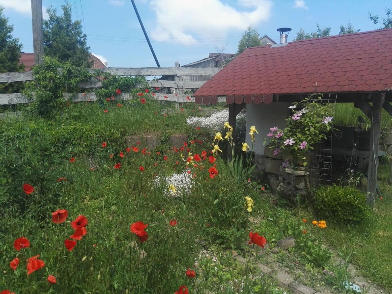Gaestehaus Zum Gesundheitszentrum Matz Sulzdorf an der Lederhecke 外观 照片