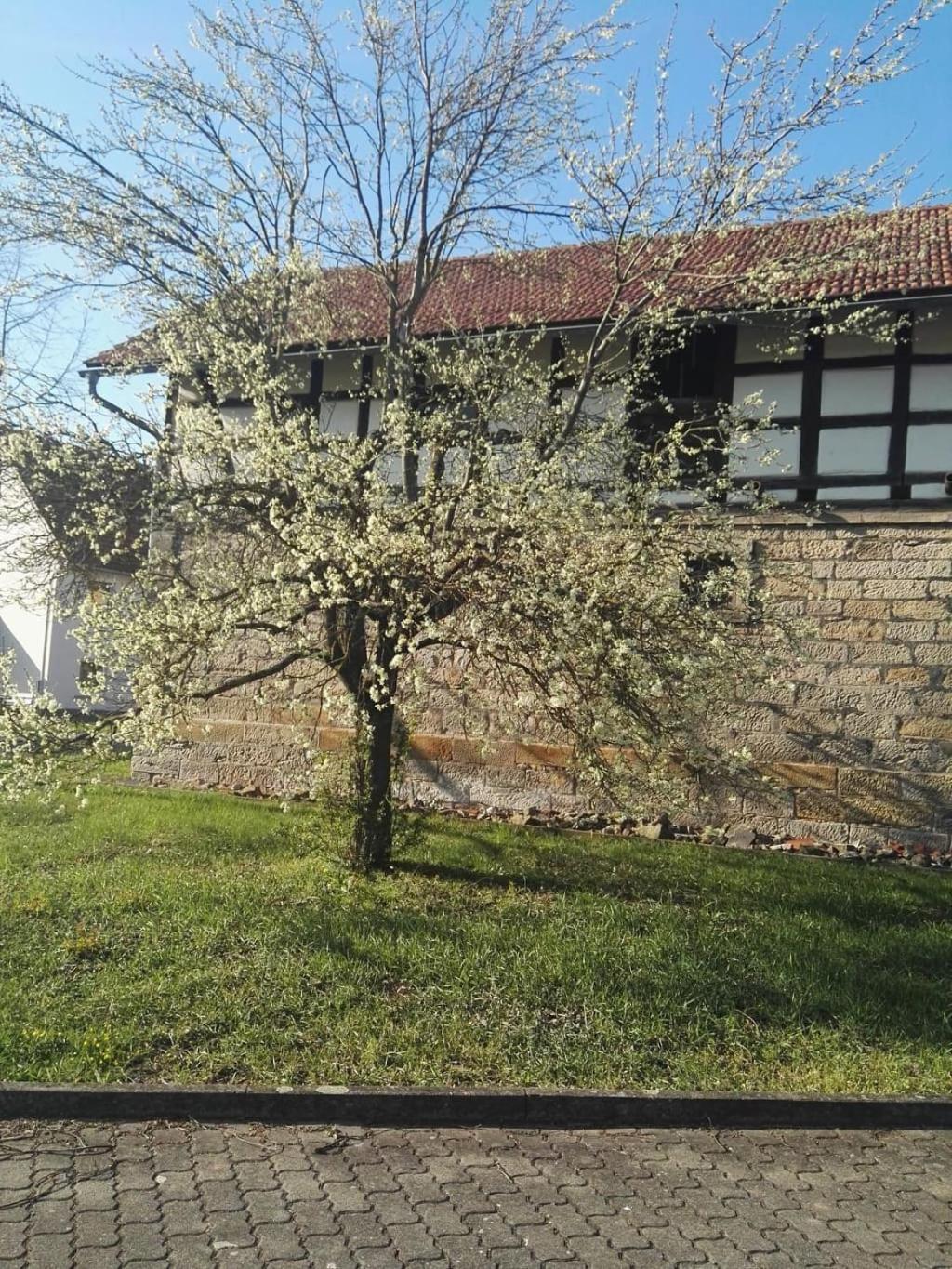 Gaestehaus Zum Gesundheitszentrum Matz Sulzdorf an der Lederhecke 外观 照片